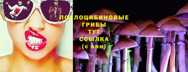 скорость Краснослободск