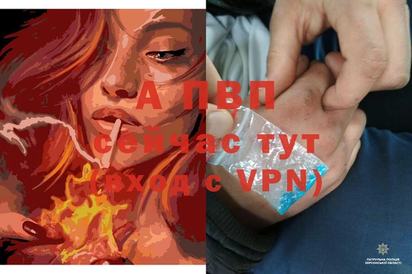 шишки Красноперекопск